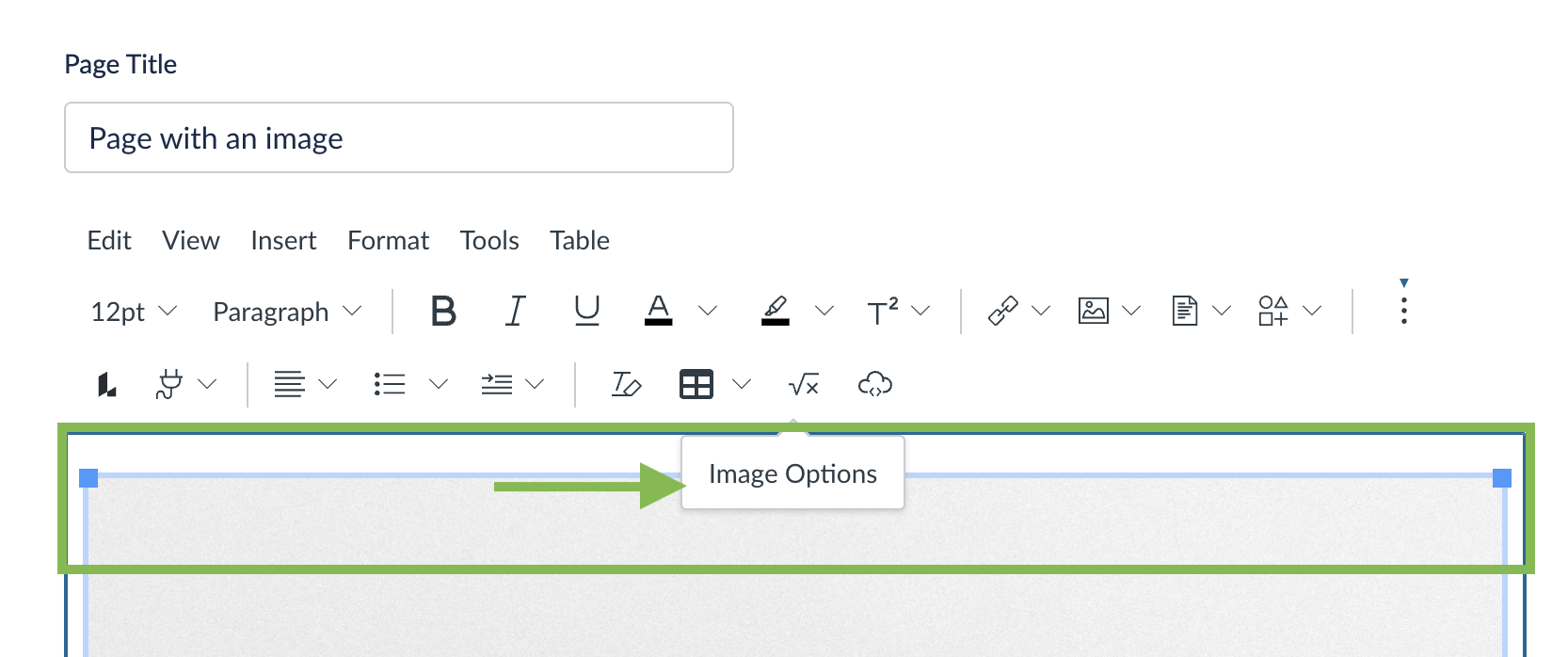 The image options button appearing over an image on the page