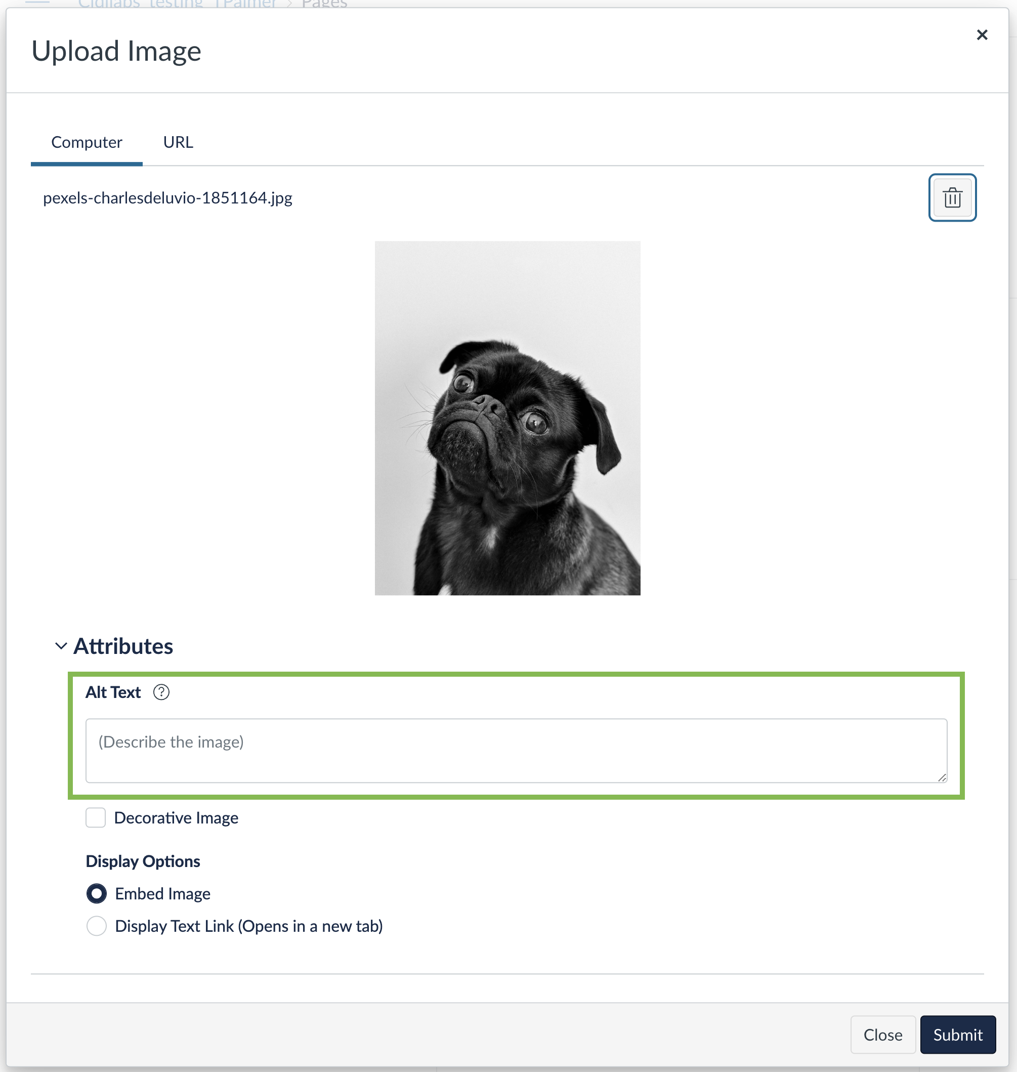The upload image menu with the alt text area indicated