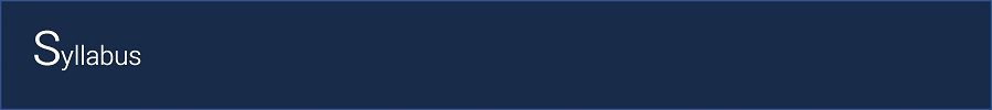 DES_syllabus_darkblue.jpg