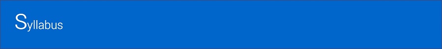DES_syllabus_medblue.jpg